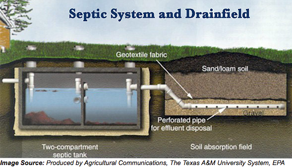 Septic System and Drainfield